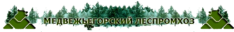mlph.onego.ru - LLC Medvezhyegorsky LPH.